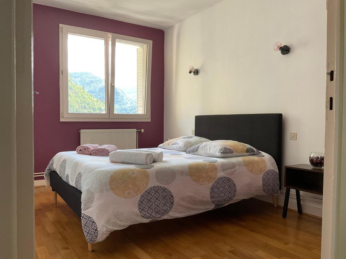 La Belle Vue Apartment Saint-Claude Bagian luar foto